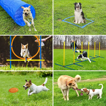 Load image into Gallery viewer, Obstacle Training Equipment Set for Pet, Agility Training, Jumping Bar, Obstacle, Dog Training Device, Pet Supplies
