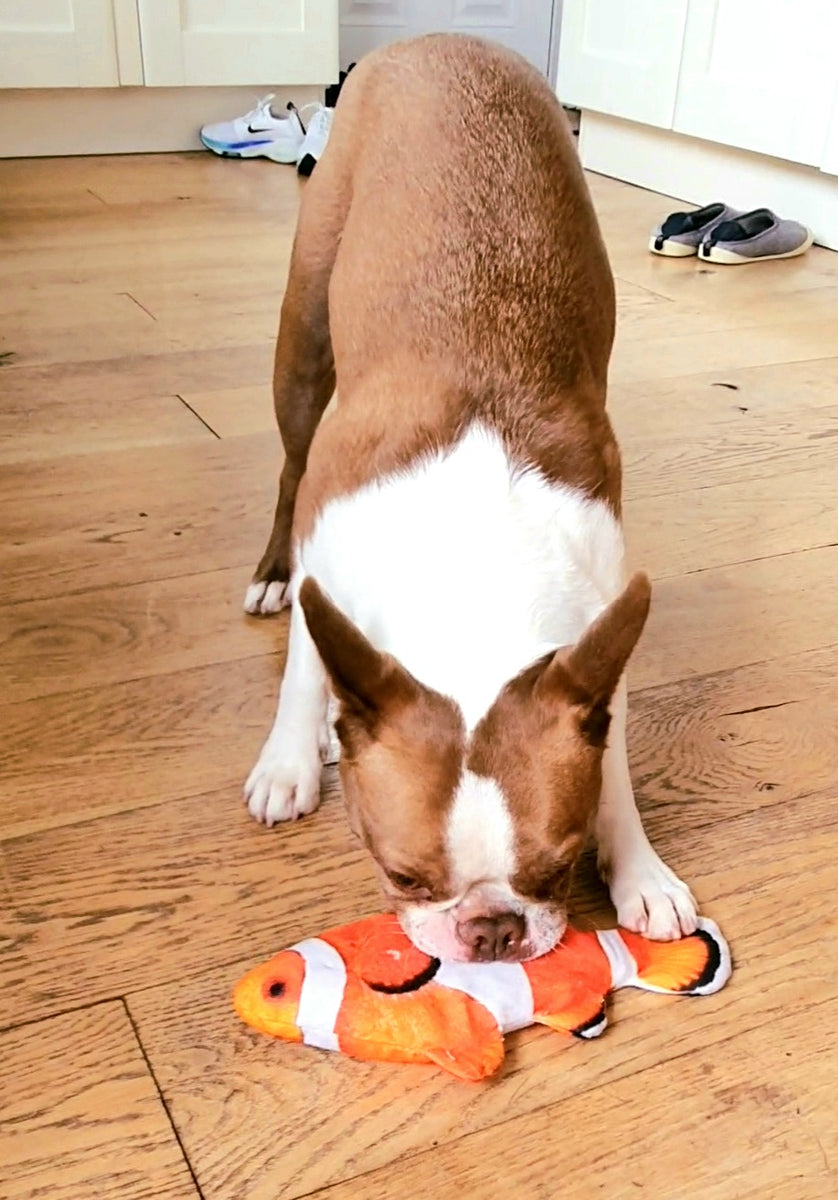 VAIZIQ Flopping Fish Electric Moving Dog Fish Toy，Realistic Flopping Fish  Rocking Dog Toy，Indestructible Dog Toys Interactive Pet Toys for Dog