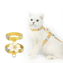 Load image into Gallery viewer, Cat Harness and Leash Sets Adjustable Dog Harness for Small Dog Leash Breashable Pet Harness Out Walking Dog Strap

