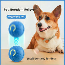 Load image into Gallery viewer, Dog Ball,Automatic Bouncing Ball for Dogs, Puppy Essentials, Vibrating Dog Ball, Dog Birthday, Interactive Dog Toys
