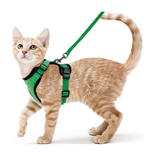 Load image into Gallery viewer, Cat collars Collar Necklace No None Cats Cat Collars Leads &#39;s Accessories Flash Sale
