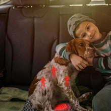 Load image into Gallery viewer, Pet heating pad outdoor indoor electric USB heating pad washable three Mode temperature adjustable heating blanket for cats dogs
