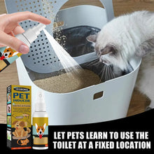 Load image into Gallery viewer, Dog Potty Training Spray Cats Kitten Outdoor Urine Poops Stool Location Helps Puppies Toilet Pet Positioning Defecation Inducer
