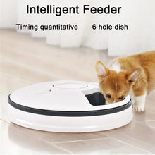 Load image into Gallery viewer, 6 Meal Trays, Digital Timer, Portion Control, with Voice Recorder, Automatic Feeder for Dogs and Cats, Dry and Wet Food
