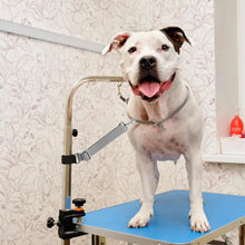 Load image into Gallery viewer, 2 Pcs Pet Dog Grooming Basic Leashes Arm Accessories, Adjustable Pets Loops Extension Straps for Bathing Grooming Trimming
