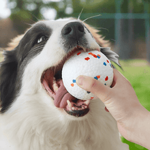 Load image into Gallery viewer, Dog in park with DuraChew Ball
