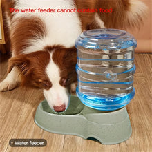 Load image into Gallery viewer, Pet dog and cat water feeding and feeder  can be large capacity automatic water storage water feeder  and feeder
