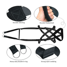 Load image into Gallery viewer, Dog pull training leash, dog sled safety belt for large working dogs, and dog sled safety belt for behavior training.
