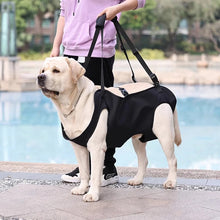 Load image into Gallery viewer, Dog-Assisted Rehabilitation Exercises for Elderly Disabled Dogs, Take You Upstairs and Help with Carrying Pet Backpacks
