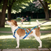 Load image into Gallery viewer, Pulling Harness For Dogs Puppy Harness Adjustable Reflective Dog Harness Outdoor Dog Rope Flexible Dog Training Rope For
