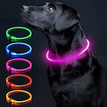 Load image into Gallery viewer, Luminous Dog Collar Light Charge Cat Necklace, Led Fashion Flashing DIY Glowing Safety Collar for Dogs Nighttime Pet Accessorie
