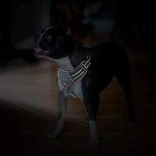 Load image into Gallery viewer, MASBRILL Dog Harness No Pull Nylon Adjustable Reflective Dog Vest Harness 2 Metal Leash Hooks Easy Control Handle Walking
