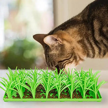 Load image into Gallery viewer, Pets slow feeder Silicone Grass Slow Food Mat Dogs Snuffle Pad Cats Licking Pad Non-slip Eating Mat pet Supplies Dog Accessories
