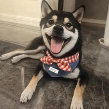 Load image into Gallery viewer, Pet Scarf For Cats And Dogs Cute Drool Towel TriangSmall Dog Cloth Doll Teddy Bear Decoration Home &amp; Garden Pet Supplies
