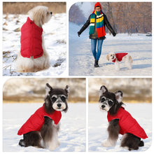 Load image into Gallery viewer, Pet Knitted Leisure Dog Clothes Autumn Winter Warm Vest Jacket With Zipper For Samll Medium Dog Chihuahua French Bulldog Coats
