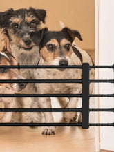 Load image into Gallery viewer, Pet Fence Barrier Gate Fence Cat &amp; Dog Fence Indoor Fence For Medium &amp; Small Dogs Prevents Dogs From Breaking Into Rooms
