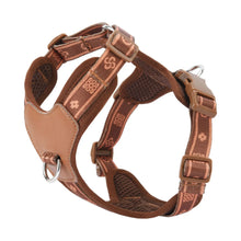 Load image into Gallery viewer, HP521-1--Classics Pet Dog Harness, Adjust with Durable Webbing, Anti-Deformation Alloy Ring, 4 Points Adjustable.
