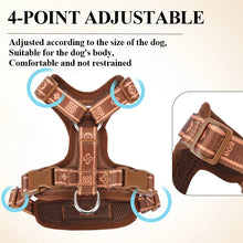 Load image into Gallery viewer, HP521-1--Classics Pet Dog Harness, Adjust with Durable Webbing, Anti-Deformation Alloy Ring, 4 Points Adjustable.
