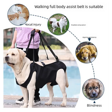 Load image into Gallery viewer, Dog-Assisted Rehabilitation Exercises for Elderly Disabled Dogs, Take You Upstairs and Help with Carrying Pet Backpacks
