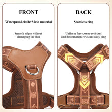 Load image into Gallery viewer, HP521-1--Classics Pet Dog Harness, Adjust with Durable Webbing, Anti-Deformation Alloy Ring, 4 Points Adjustable.
