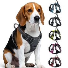 Load image into Gallery viewer, Dog Harness with Handle for Large &amp; Medium Dogs, Breathable Padding Safety Pet Vest Outdoor dog walking harness
