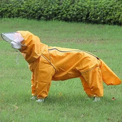 Pet dog, big dog, medium to large dog, golden haired Samoyed, Alaska, all inclusive raincoat, hooded bag, tail rain gear