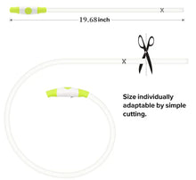 Load image into Gallery viewer, Luminous Dog Collar Light Charge Cat Necklace, Led Fashion Flashing DIY Glowing Safety Collar for Dogs Nighttime Pet Accessorie
