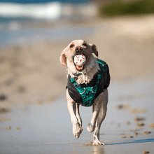Load image into Gallery viewer, Dog running on beach with DuraChew ball 
