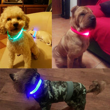 Load image into Gallery viewer, Dog Collar LED Light Electronic Night Safety Anti-Lost Nylon Adjustable Luminous Glowing Collar For Dogs Cats Pet Products Xs-XL
