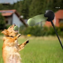 Load image into Gallery viewer, Dog Toys Throwing Pole Pet Throwing Stick Hand Throwing Ball Toys Pet Tennis Launcher Pole Outdoor Training Toys Pet Supplies
