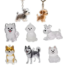 Load image into Gallery viewer, Dogs Hair Storage Pendant Cute Keychain Bag Pendant Couple Car Key Chains Jewelry Souvenir Collection Gift Decor Dog Accessories
