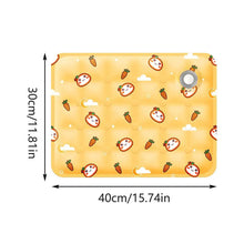 Load image into Gallery viewer, Dog Cooling Mat Summer Pet Self Cooling Pad Cat Bed Mat For Small Medium Large Dogs Indoor Dog Crate Mat
