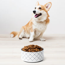 Load image into Gallery viewer, Luxury Pattern Stainless Steel Pet  Bowl
