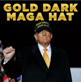 Official Trump ...GOLD DARK MAGA - NEVER SURRENDER - Hat - (Made in USA)