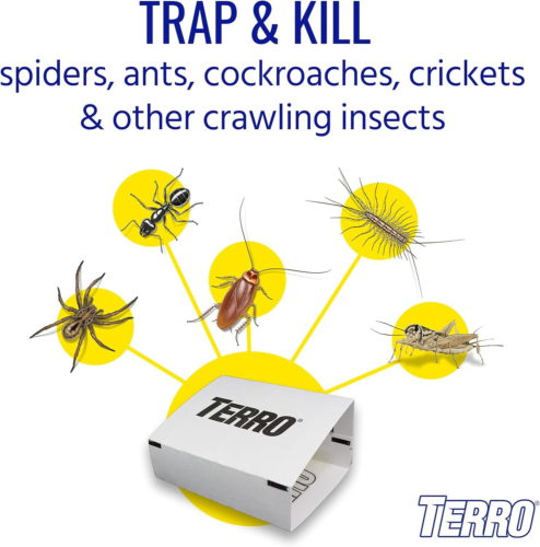 TERRO T3206 Spider & Insect Trap (4 Count) … (Pack of 2)