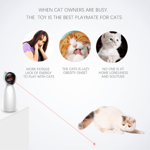 Cat Smart Interactive Laser Toy