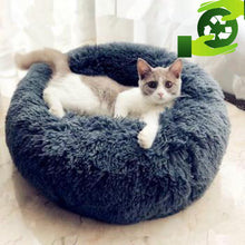 Load image into Gallery viewer, Anti-Anxiety Calming Cat Donut Bed Floppy Fishie Toy
