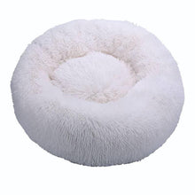 Load image into Gallery viewer, Anti-Anxiety Calming Cat Donut Bed Floppy Fishie Toy
