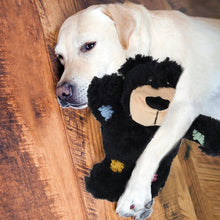Load image into Gallery viewer, Patch The Bear - Dog Toy With Hard Wearing Internal Ropes
