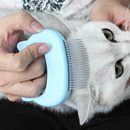 Pet Massager Deshedding Shell Comb Floppy Fishie Toy