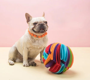 Snuffle Ball Puzzle Dog Toy